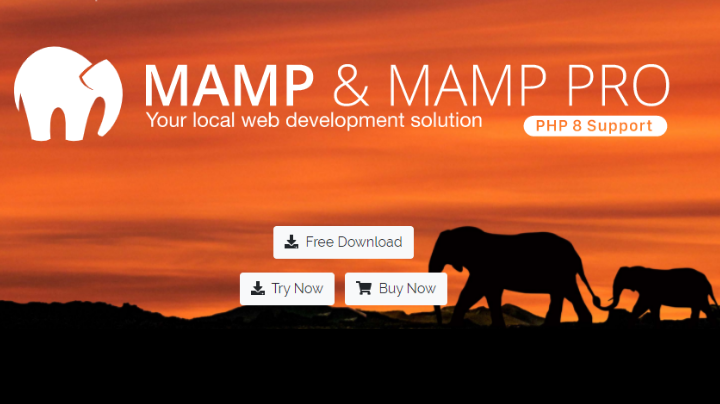 MAMP Full Stack Web Development Tools To Use In 2021