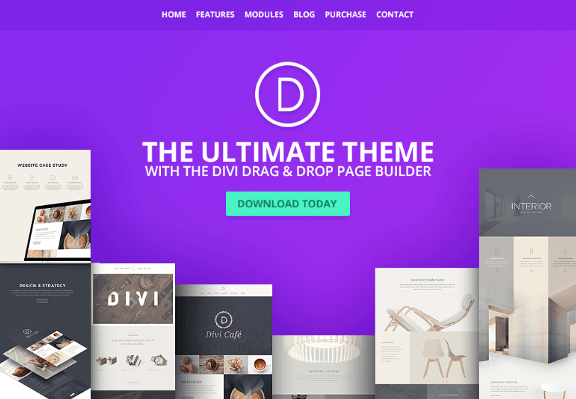 wordpress ecommerce themes