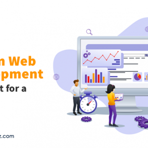 Why Should You Go For Custom Web Development For Your Business?